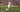 Ronaldo i 1997 for Inter - Scorer sit første Inter-mål mod Bologna