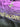 Fiorentina Limited Edition-tröja 2024/25 - Kean 20 (XL) - retrofotbollströja